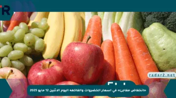 «انخفاض مفاجئ» في أسعار الخضروات والفاكهة اليوم الإثنين 12 مايو 2025